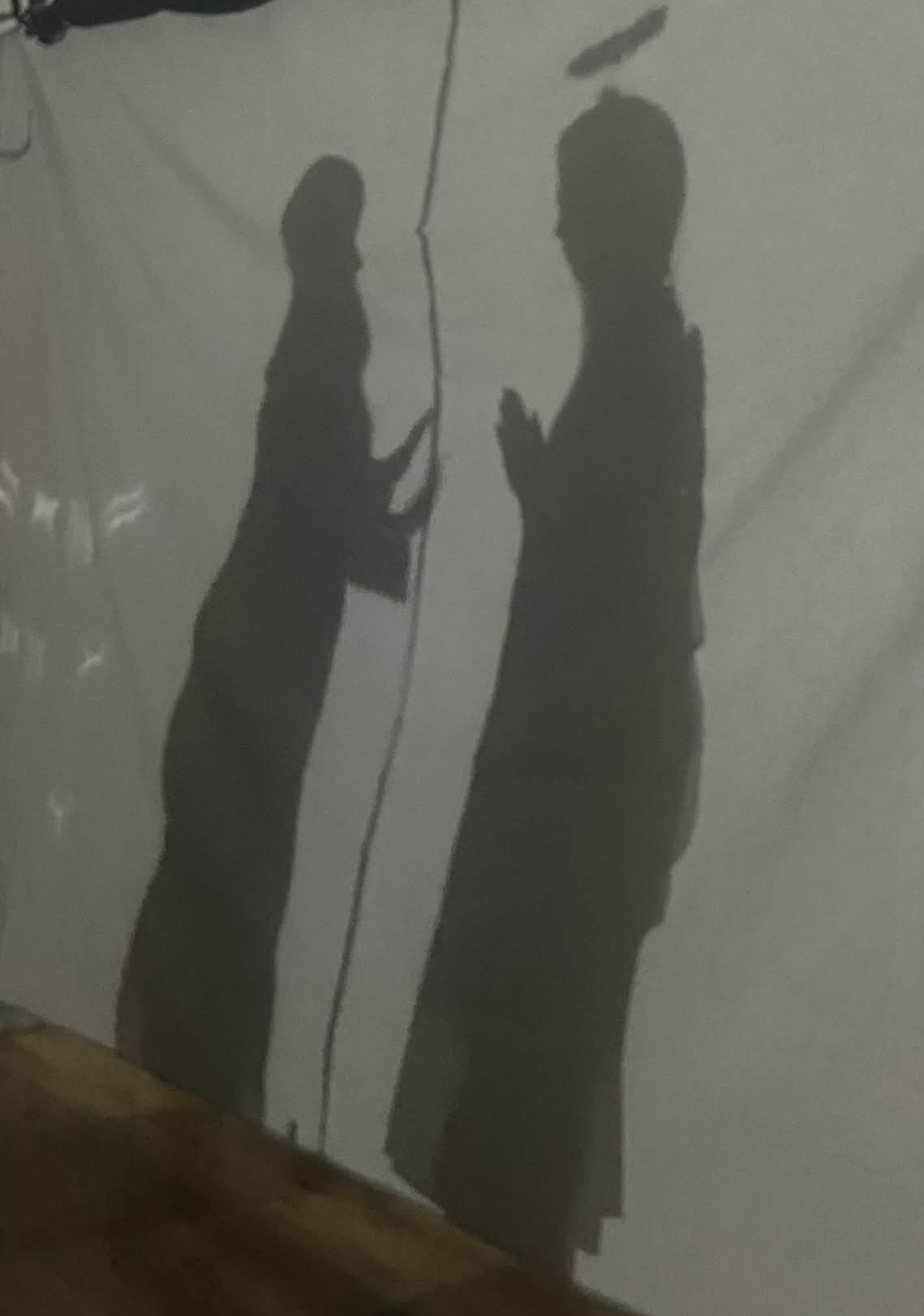 Fragment spektaklu cieni w wykonaniu wychowanków internatu.